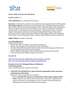 Journey into the Brain_WP