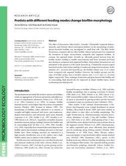 Protists with different feeding modes change biofilm morphology