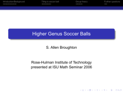 Higher Genus Soccer Balls - Rose
