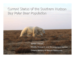 Current Status of the Southern Hudson Bay Polar Bear Population