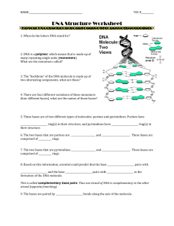 DNA Structure Worksheet