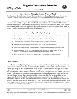 Easy Keepers: Managing Horses Prone to Obesity