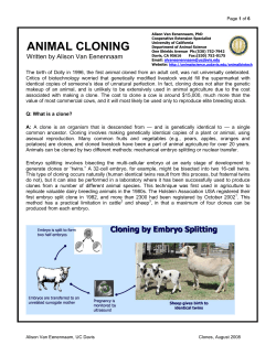 Animal Cloning