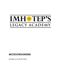 MICROORGANISMS