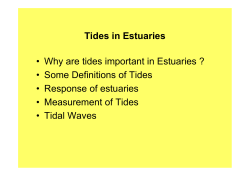 Tides in Estuaries