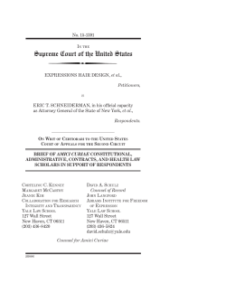 Hair Expressions Amicus Brief (01009911