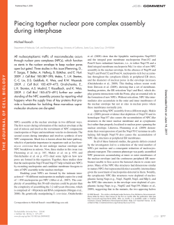 Piecing together nuclear pore complex assembly during interphase