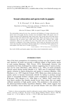 Sexual colouration and sperm traits in guppies