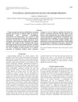 functional adaptations of oxygen-transport proteins