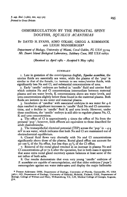 dogfish, squalus acanthias - Journal of Experimental Biology