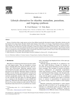 Lifestyle alternatives for rhizobia: mutualism, parasitism