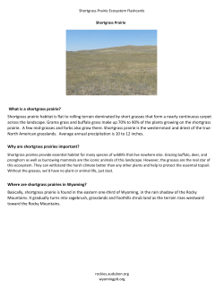 Shortgrass Prairie Ecosystem Flashcards