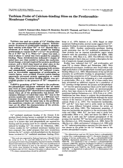 Terbium Probe of Calcium-binding Sites on the Prothrombin