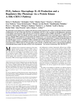 PGE2 Induces Macrophage IL-10 Production and a Regulatory