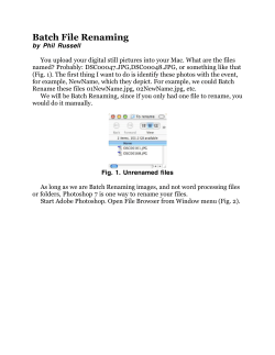 Batch File Renaming