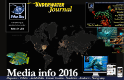 Magazines - Websites - Social Media