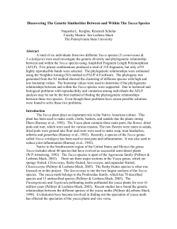 Discovering The Genetic Similarities Between and Within The Yucca