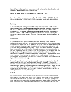 Second Report: Damage from Superstorm Sandy to Horseshoe