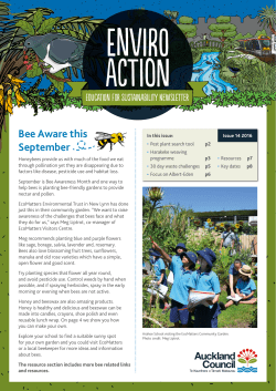 Issue 14, Winter 2016 (PDF 2.75MB)