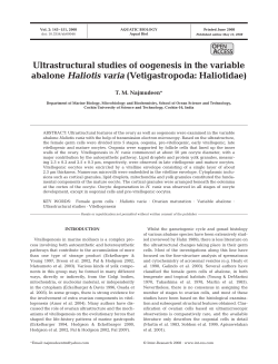 Full text in pdf format