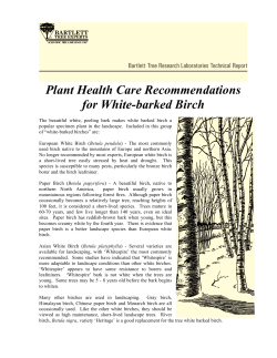 Plant Health Care Recommendations for White