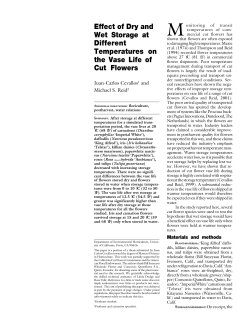 Effect of Dry and Wet Storage at Different Temperatures on the Vase