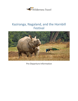 Kaziranga, Nagaland, and the Hornbill Festival