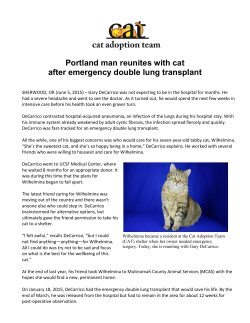 Portland man reunites with cat after emergency double lung transplant