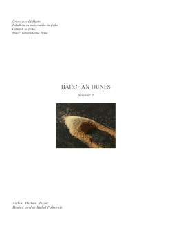 barchan dunes - Department of Theoretical Physics