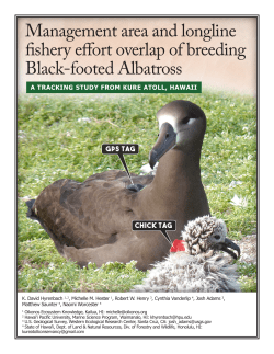 Management area and longline fishery effort overlap - e