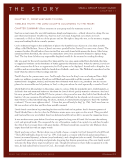 SMALL GROUP STUDY GUIDE CHAPTER 11