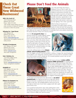 Please Don`t Feed the Animals