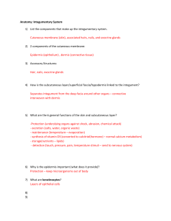 Anatomy: Integumentary System 1) List the components that make