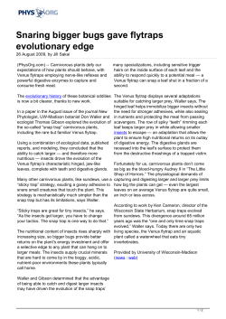 Snaring bigger bugs gave flytraps evolutionary edge