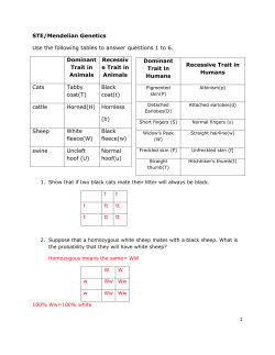 p162 Genetics Questions