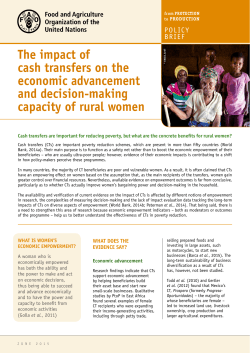 The impact of cash transfers on the economic advancement and