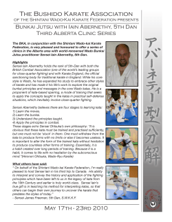 The Bushido Karate Association