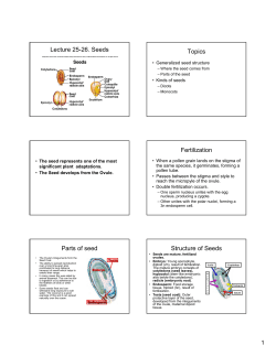 Lecture 25-26. Seeds Topics Fertilization Parts of seed