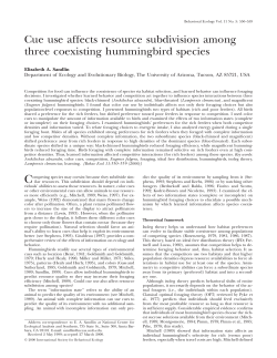 Cue use affects resource subdivision among