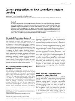 Current perspectives on RNA secondary structure probing