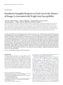 Basolateral Amygdala Response to Food Cues in the Absence of