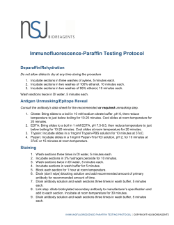 Immunofluorescence-Paraffin