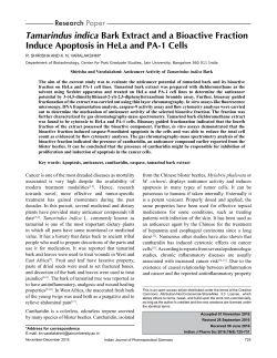 Tamarindus indica Bark Extract and a Bioactive Fraction Induce