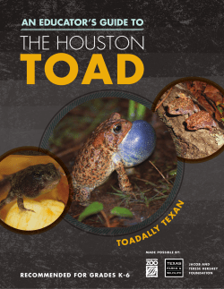 An Educator`s Guide to the Houston Toad