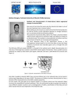 Stefano Dissegna, Technical University of Munich (TUM