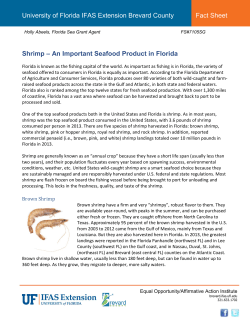 An Important Seafood Product in Florida