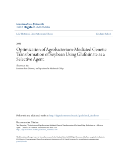 Optimization of Agrobacterium-Mediated Genetic Transformation of