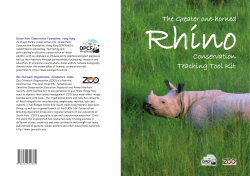 The Greater One-horned Rhino