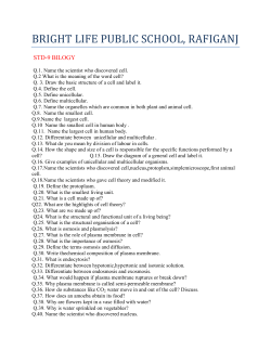 Question Bank class 9th - bright life public school