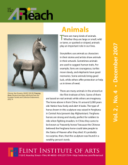 Animals
